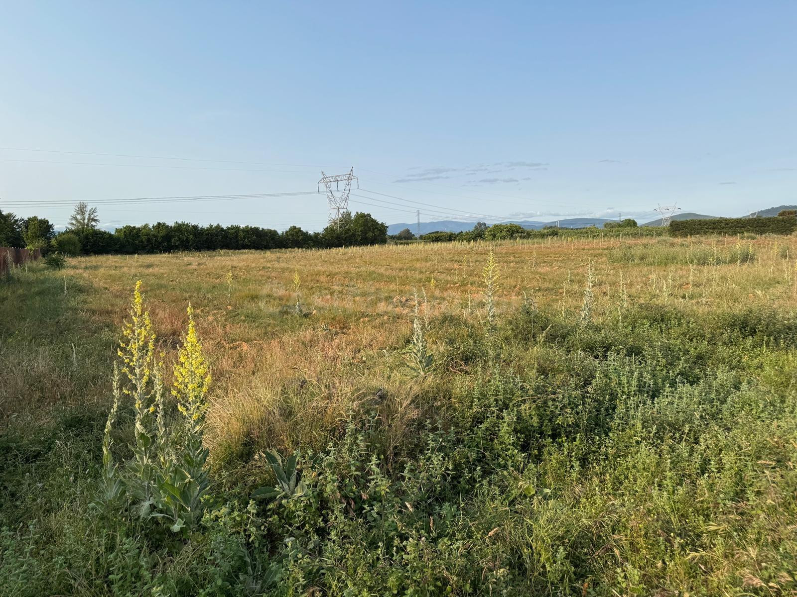 SE VENDE FINCA RUSTICA EN LAS CHANAS DE CAMPONARAYA