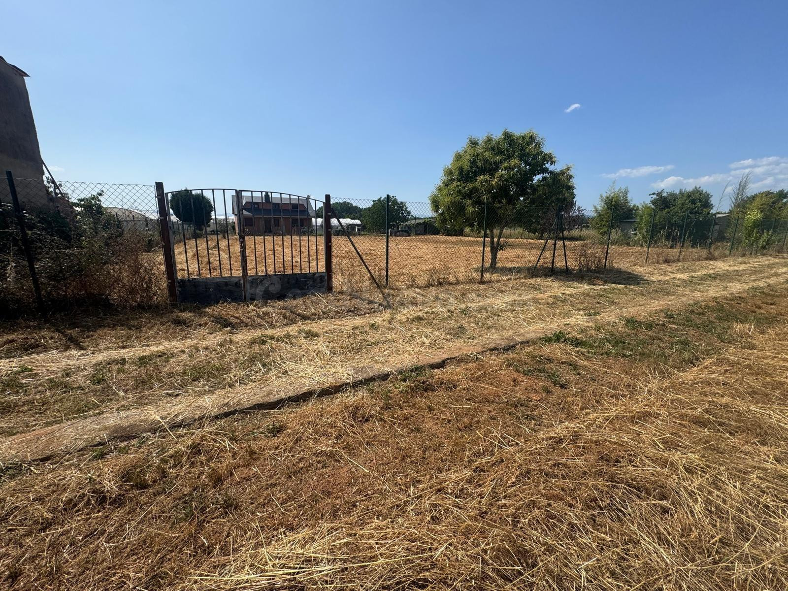 SE VENDE FINCA RUSTICA EN COLUMBRIANOS - FUENTESNUEVAS CON CASETA DE APEROS