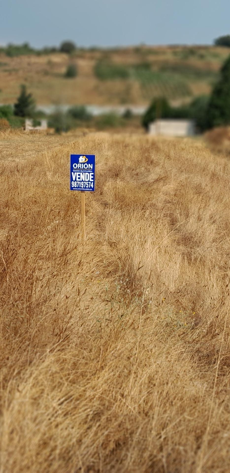 TERRENO URBANO EN ALMAZCARA