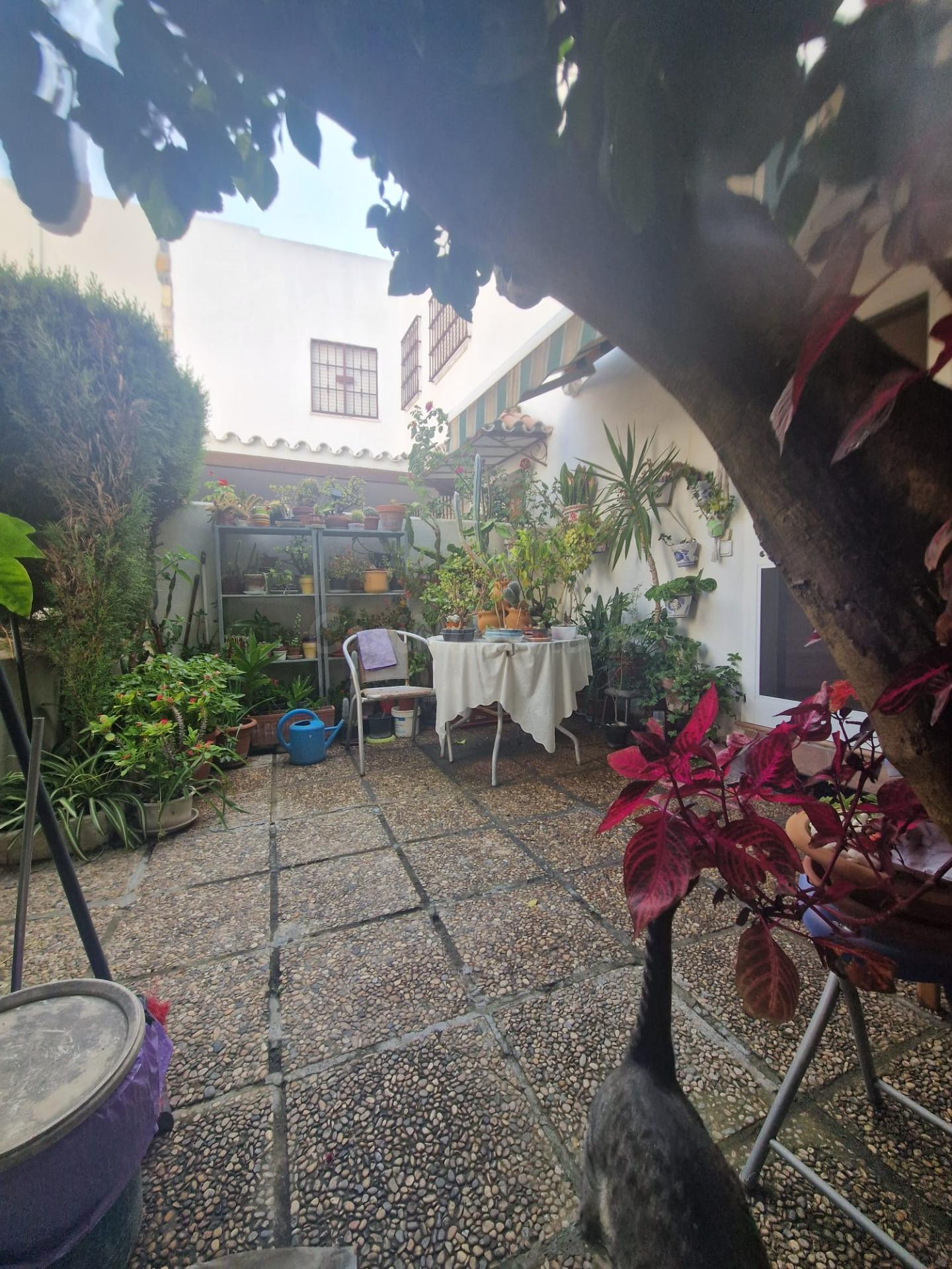 FANTASTICO ADOSADO EN EL PUERTO DE SANTA MARIA!!!!