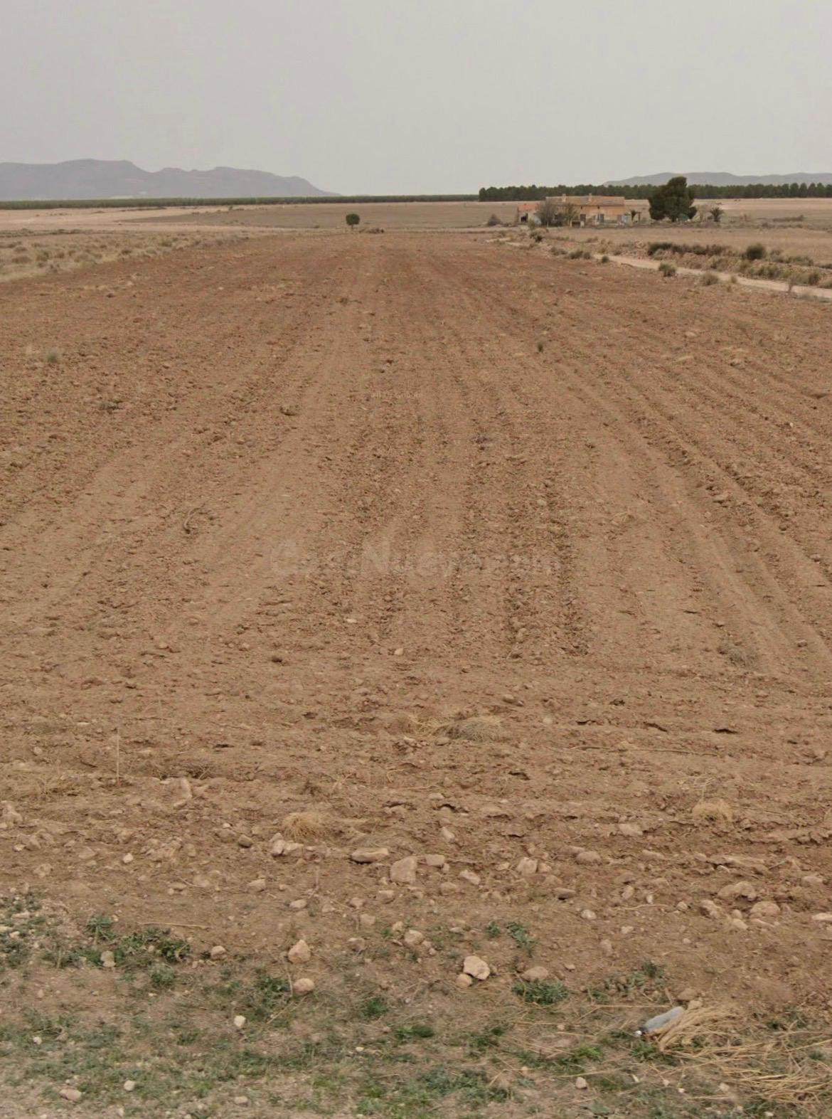 TERRENO RÚSTICO EN JUMILLA – PARAJE CAÑADA DE ALBATANA