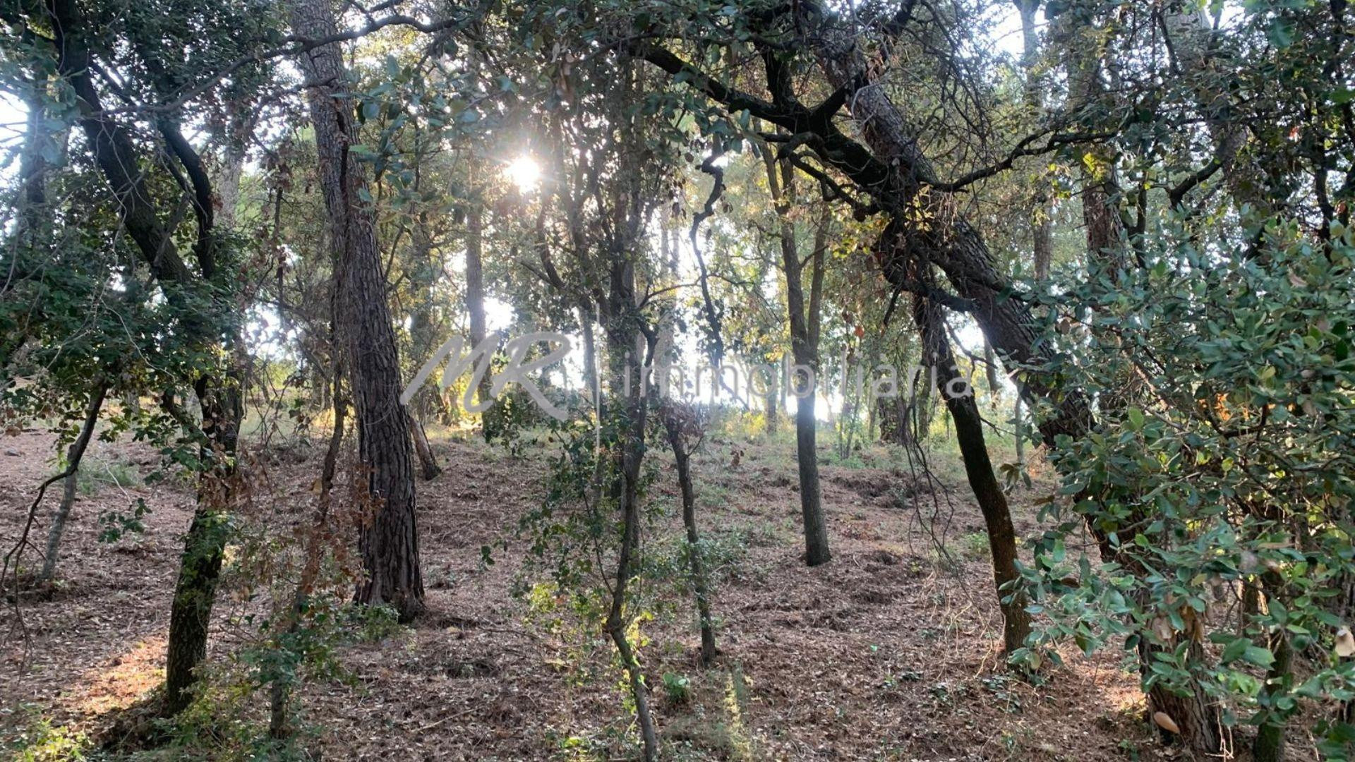 Encantador terreno en el centro de Cànoves!