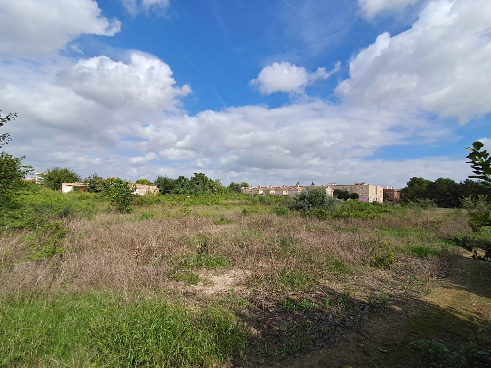 TERRENO EN VENTA EN HUERTA DE MURCIA