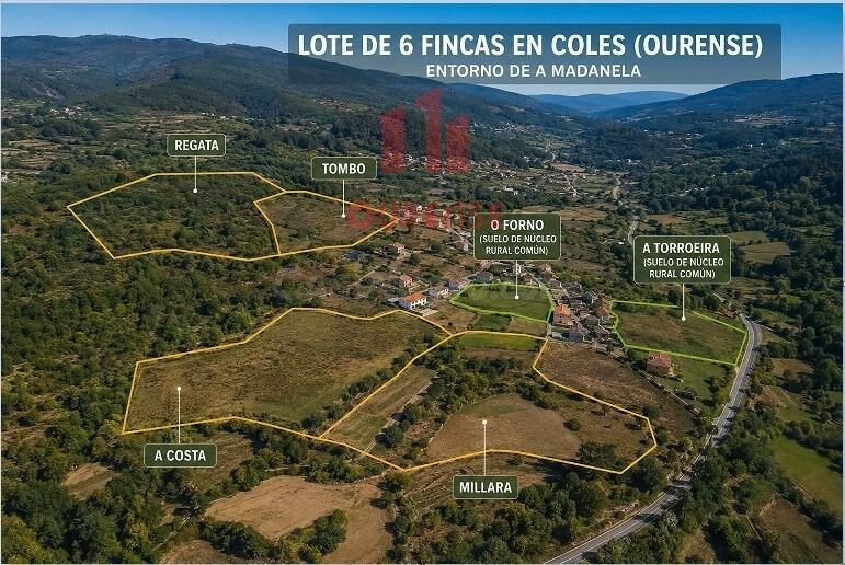 LOTE DE SEIS FINCAS EN EL ENTORNO DE MADANELA (COLES)