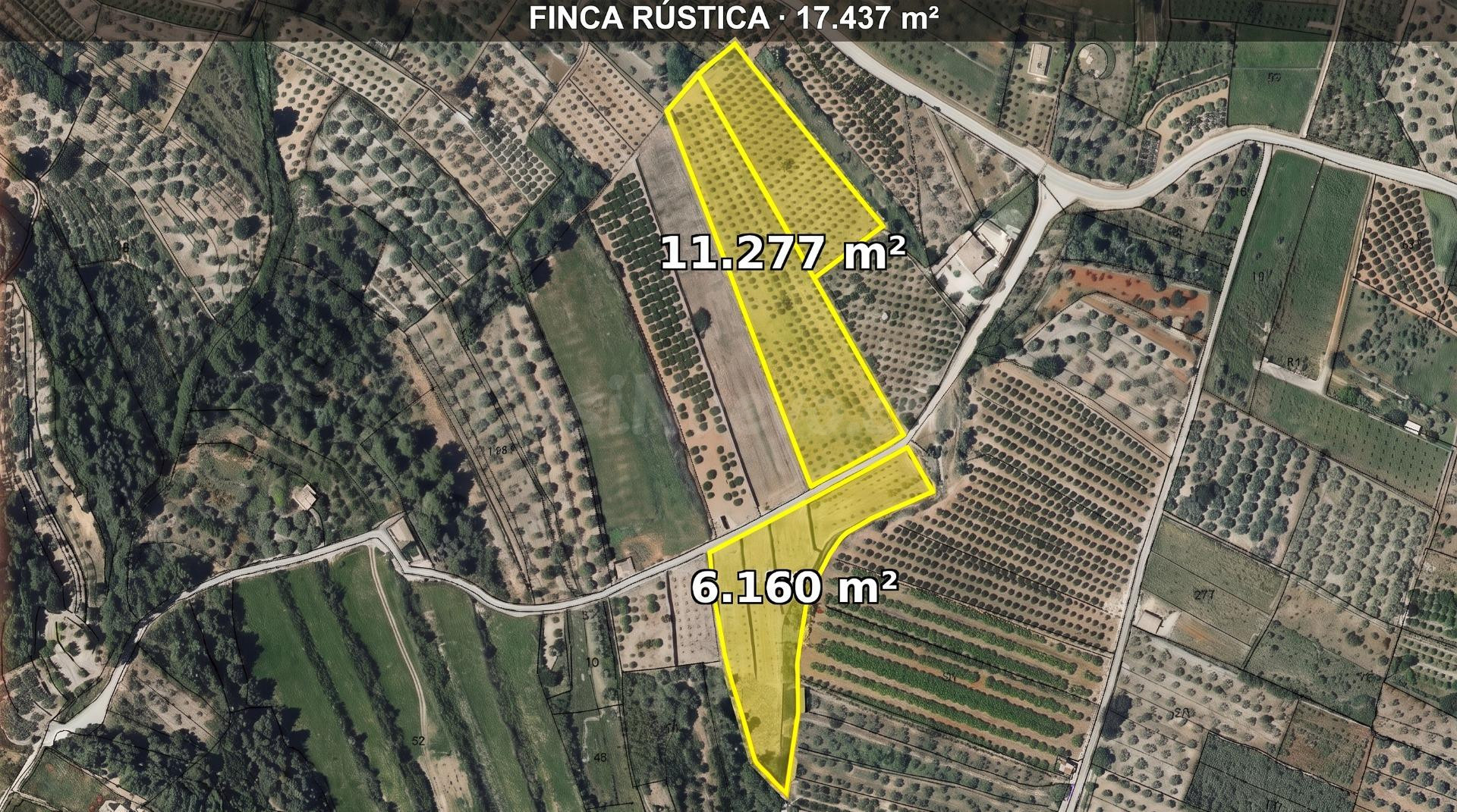 Finca en producción de 17.437 m2 en Parcent — naranjos y granados, 19 acciones de agua incluidas, a un paso del pueblo