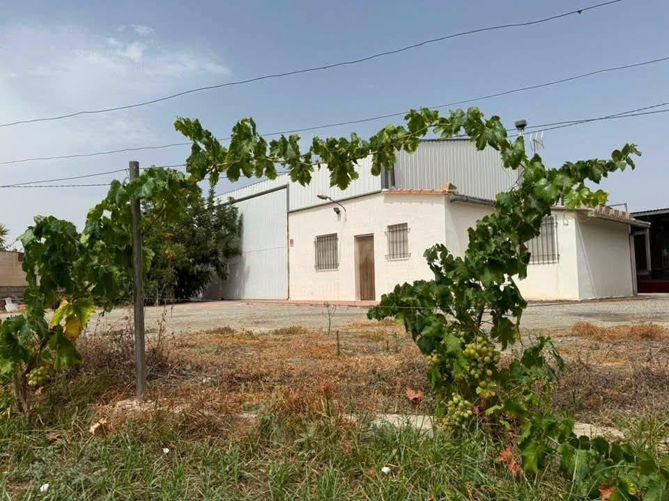 Finca rústica con cortijo, nave agrícola, olivar y derechos de agua junto a Albox (Almería)