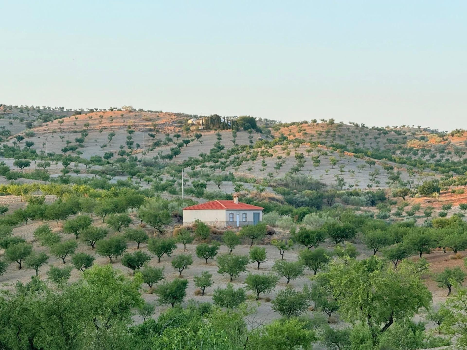 Casa de campo de 100 m2 con 5 hectáreas de terreno en El Madroño (Almería)