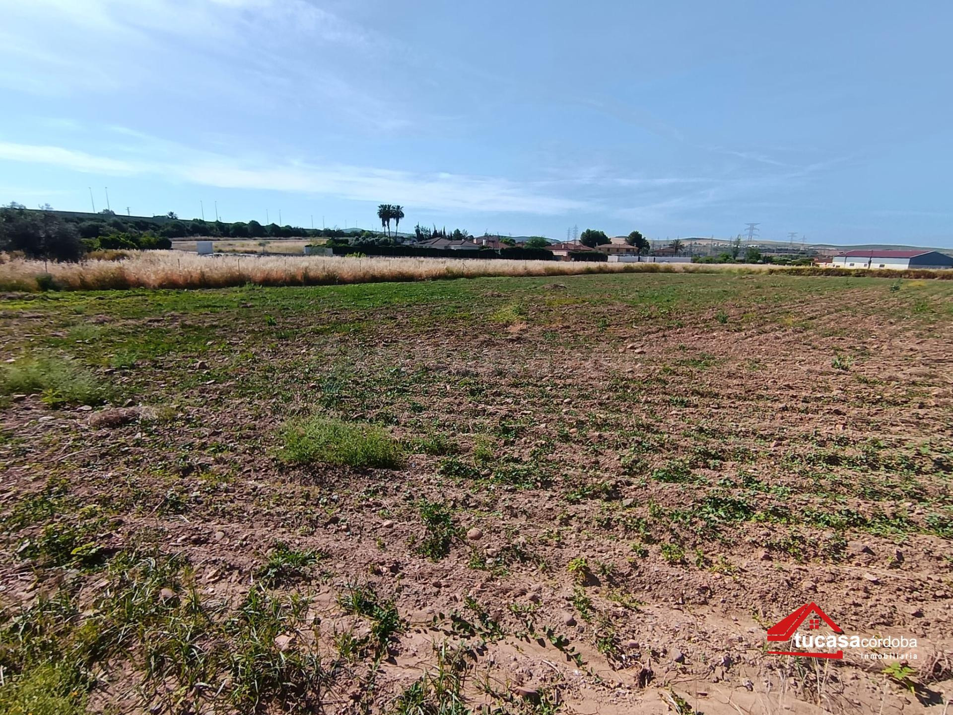 Terreno rural en Casillas (Carretera del Aeropuerto) con múltiples posibilidades