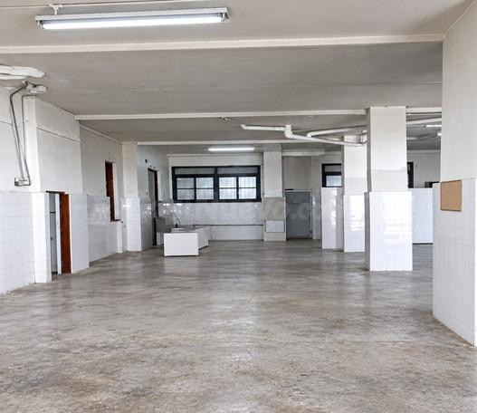 LOCAL EN CREVILLENTE DE 248 M2, CALLE PINTOR VELÁZQUEZ  LOCAL COMERCIAL IDEAL PARA METER VEHÍCULOS O
