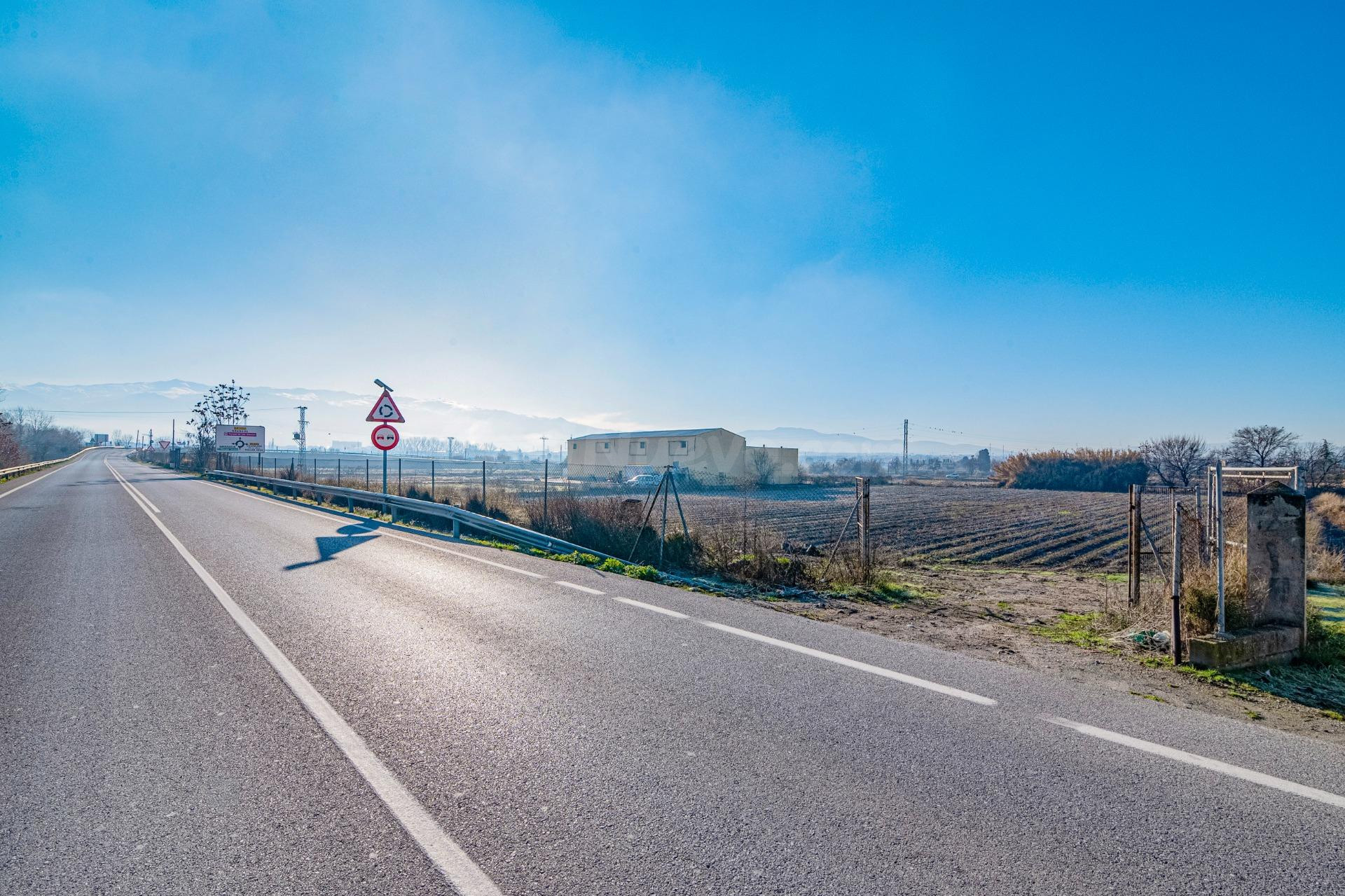 Excelente finca de regadío en la Vega de Granada, con acceso directo