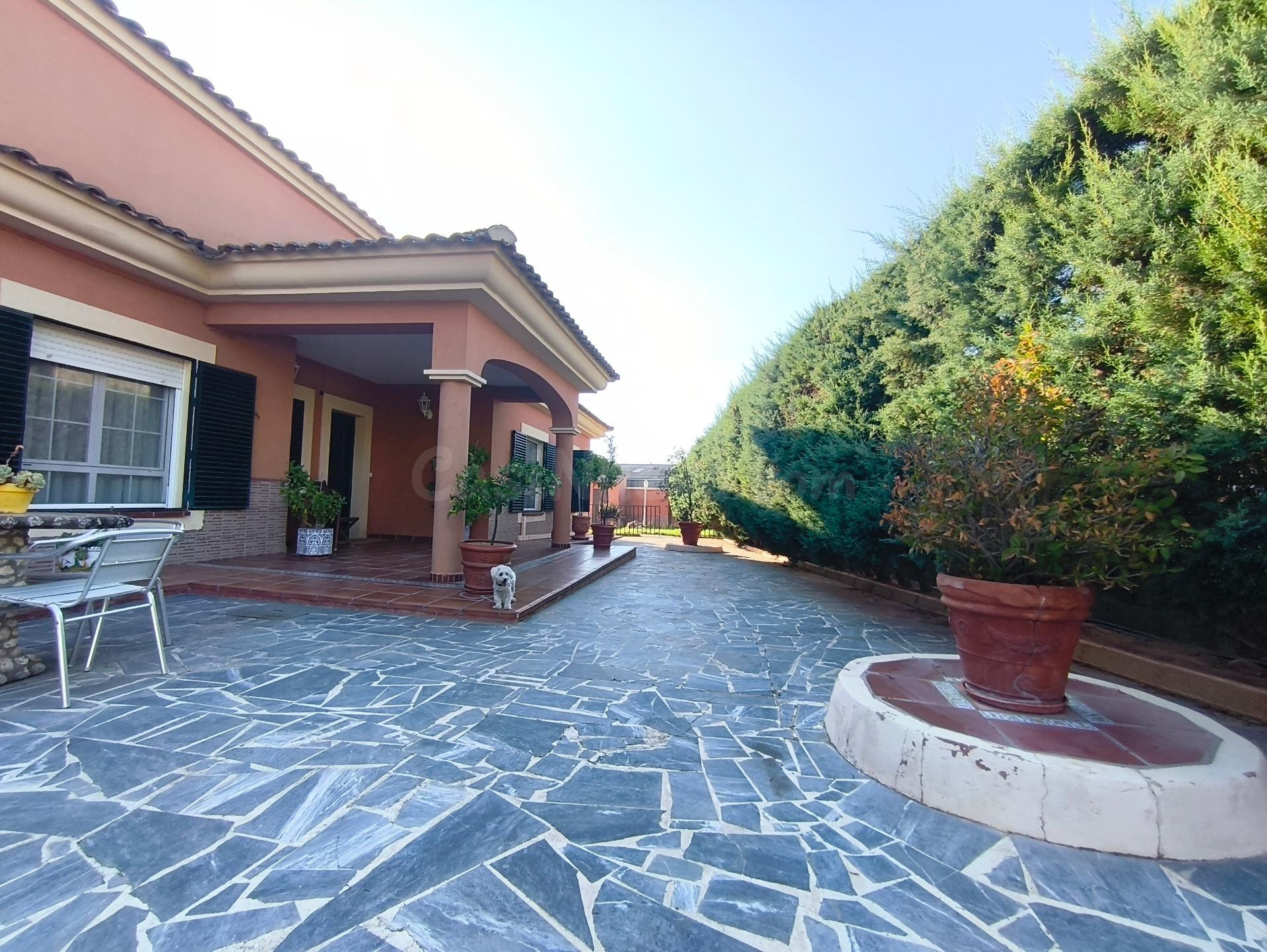 CHALET EN LOS MONTITOS CON PISCINA Y PISTA DE PADEL - foto 5