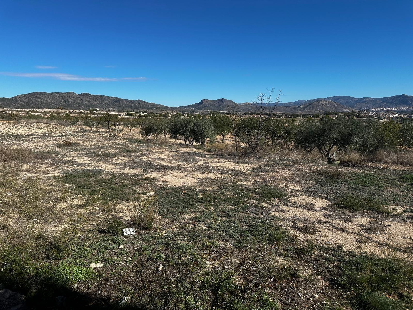 Terreno rural en venta - 03640