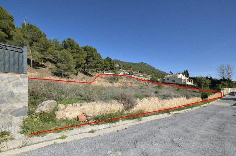 GRAN SOLAR EN EL PUNTAL