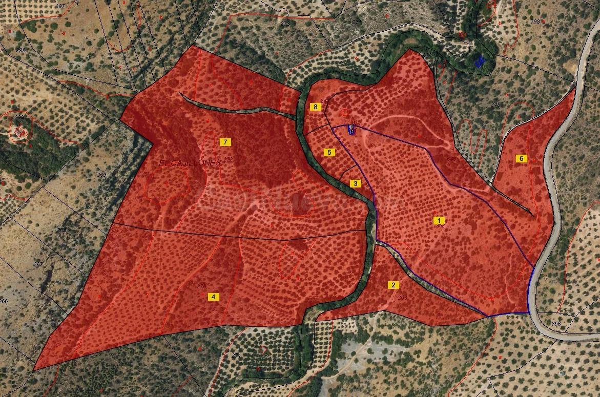 FINCA DE 2700 OLIVOS EN ALGARINEJO (GRANADA)