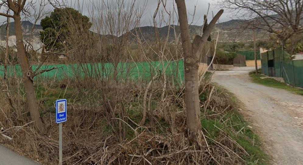 FINCAS EN PADUL
