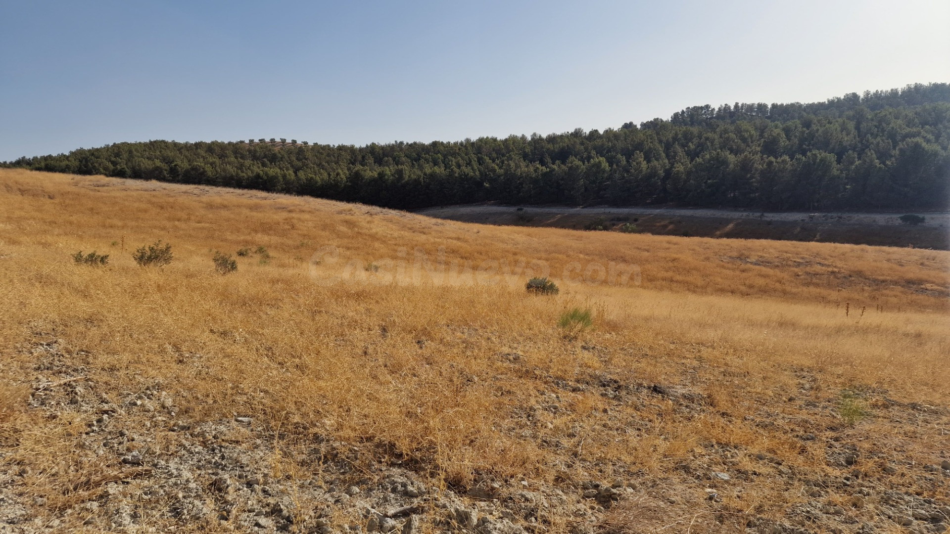 FINCA RUSTICA EN SANTA FE 21Ha