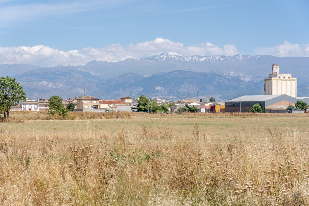 PARCELA EN SANTA FE (GRANADA)