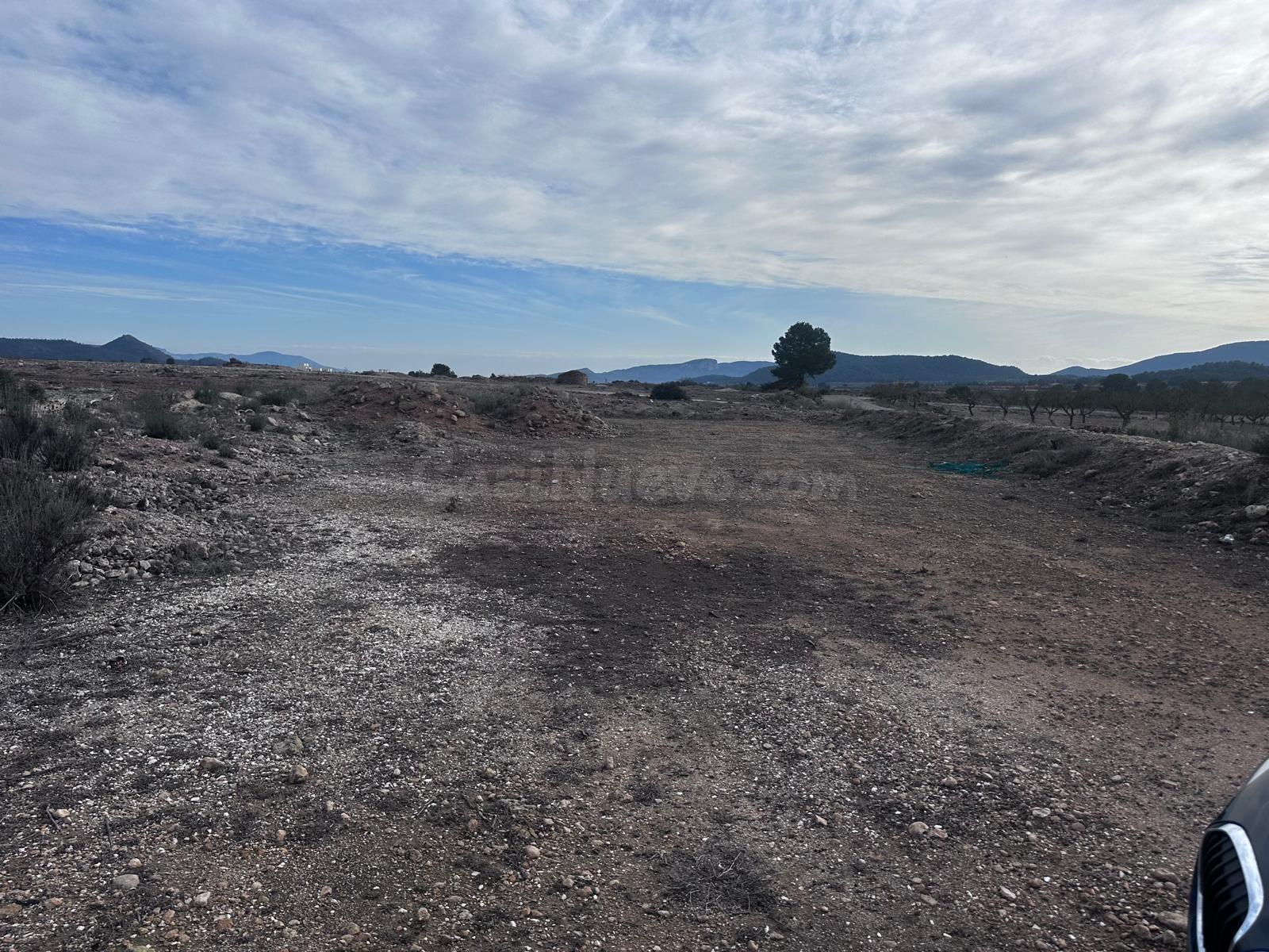 Parcela de terreno en Ubeda Pinoso