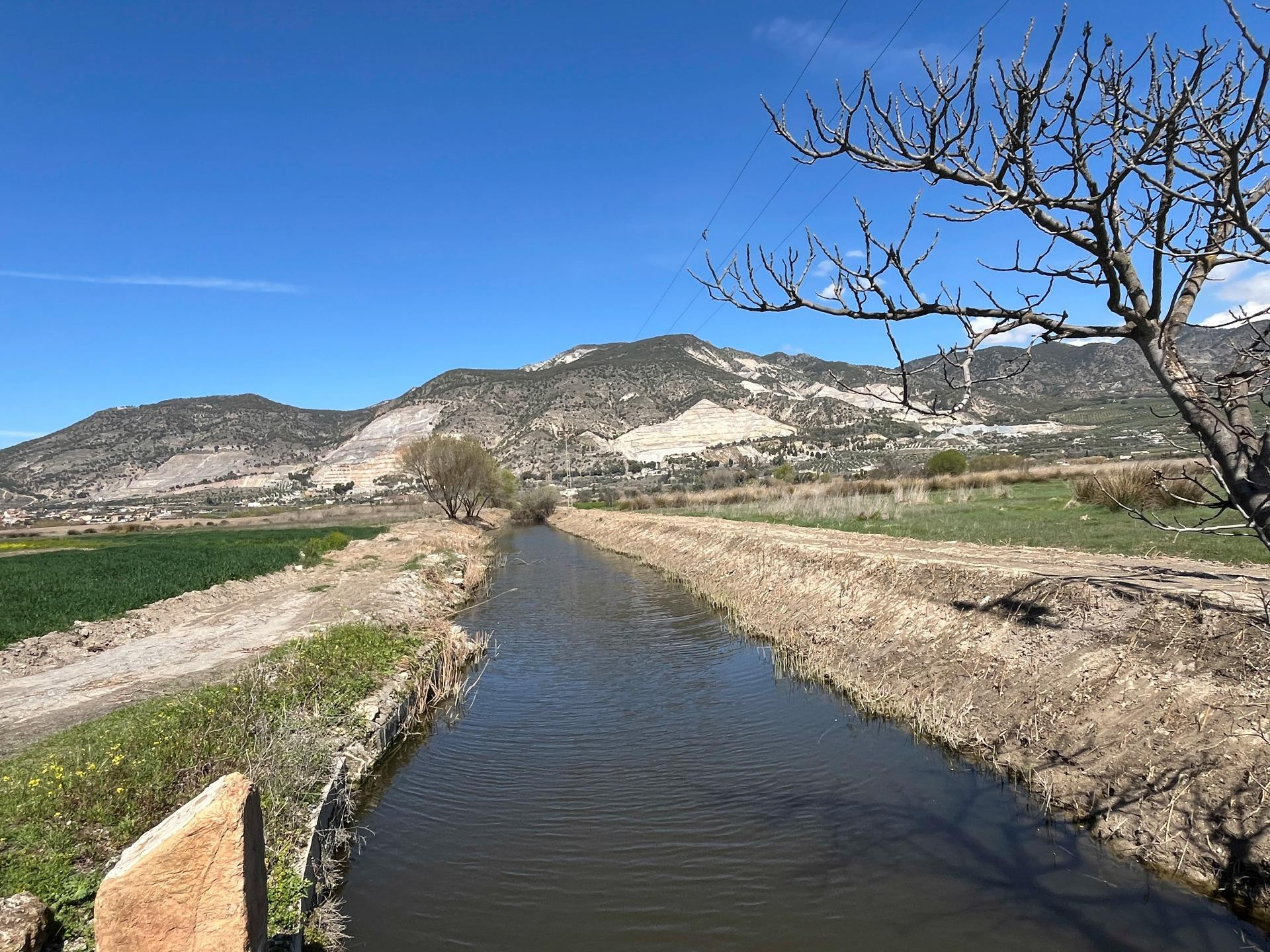 FINCA DE REGADIO EN LA ZONA DE LA ACEQUIA MADRE MAESTRA, PADUL GRANADA