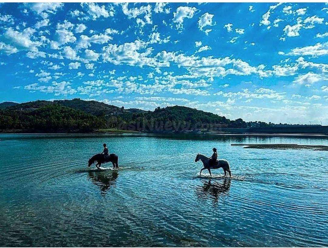 El mejor centro hípico de Tarragona
