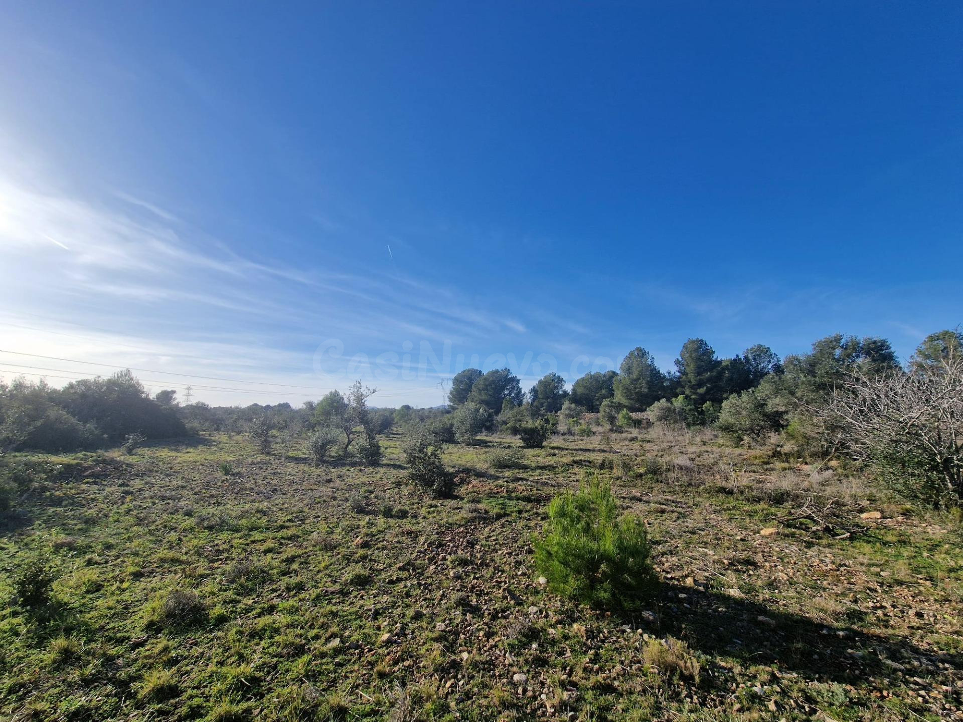 Venta de Finca Rústica en Pont d'Alentorn, Tarragona - 13000 m2 con Casita