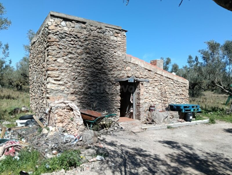 FINCA DE OLIVOS CON CASA RUSTICA DE PIEDRA