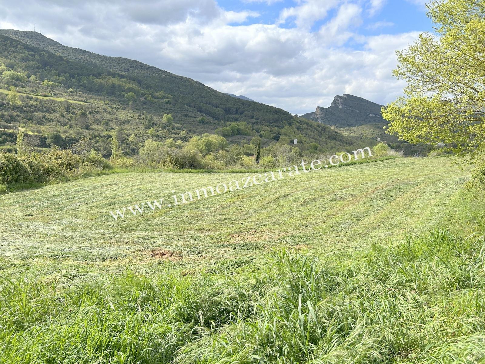 Parcela rustica en Estella