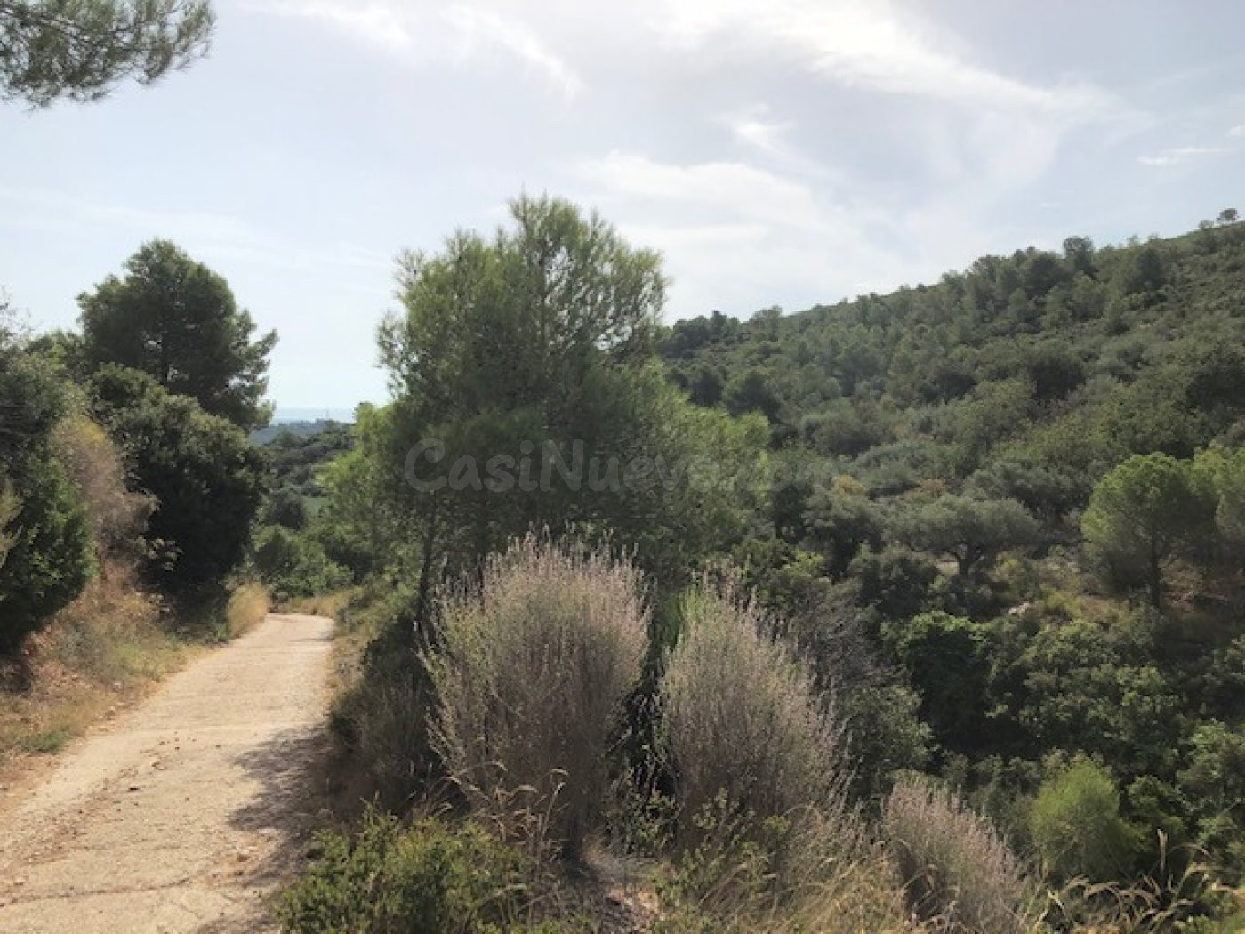Finca Rustica Ideal para cazadores