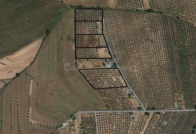 Finca rústica en venta en Albolote