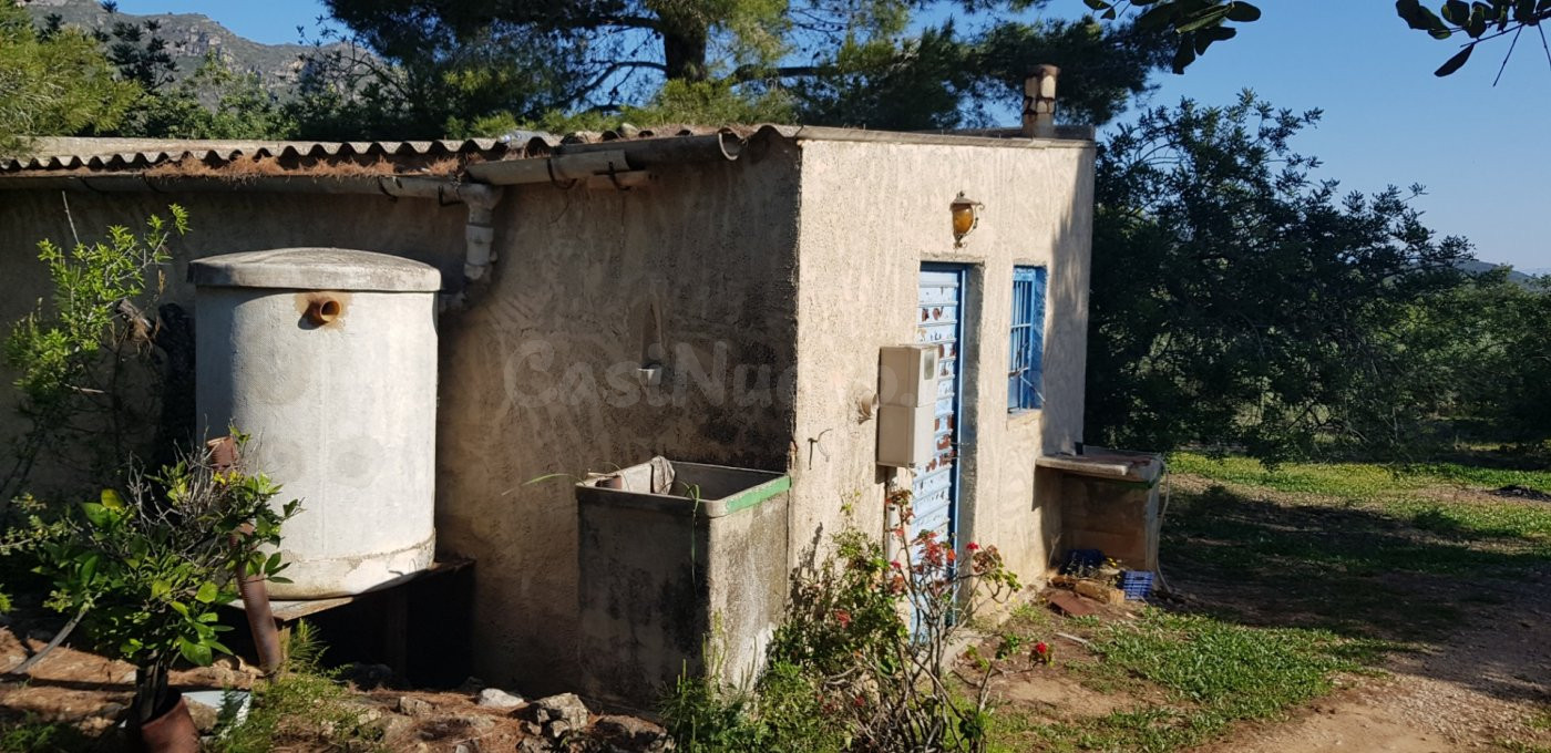 FINCA DE 3 HECTAREAS CON ALMACEN DE 24 M2, LUZ Y AGUA
