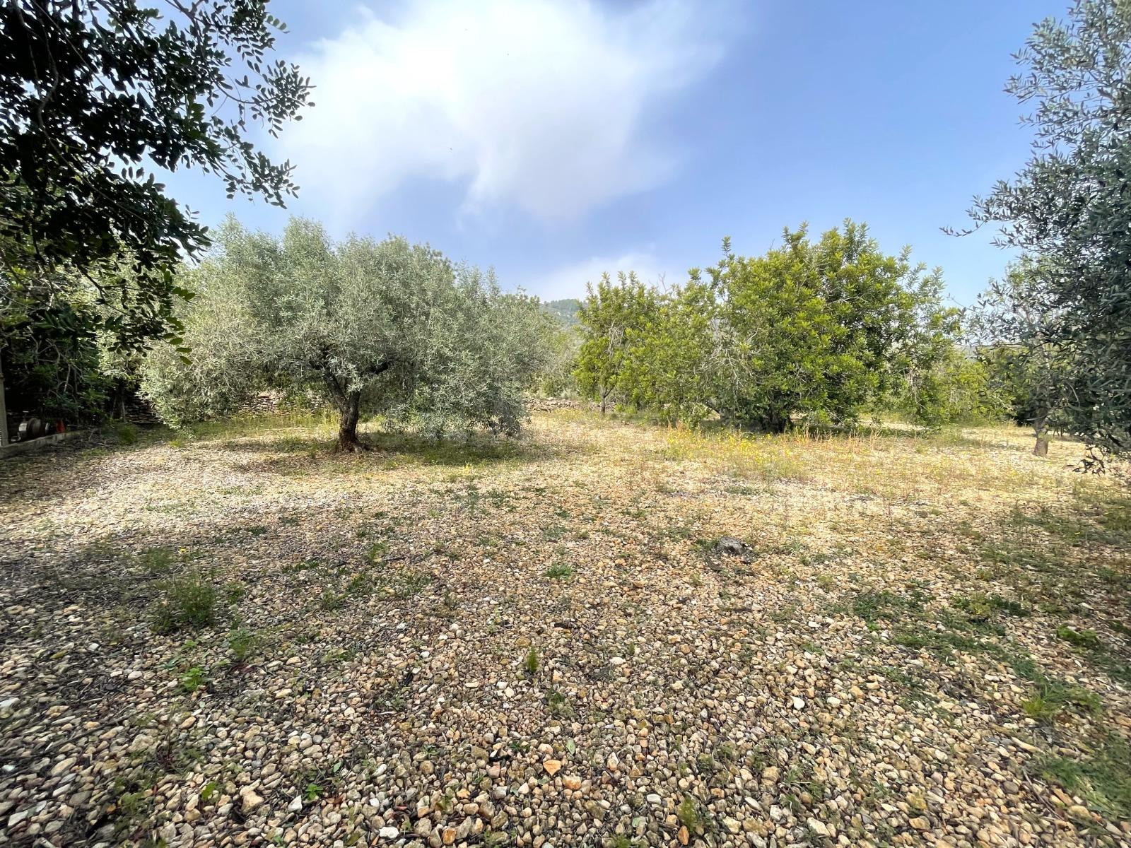 FINCA RÚSTICA LA RÁPITA