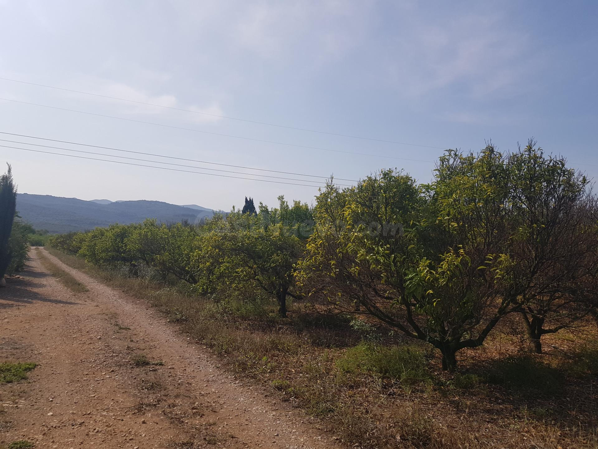 FINCA EN LA GALERA CON AGUA Y CASA DE  15m2