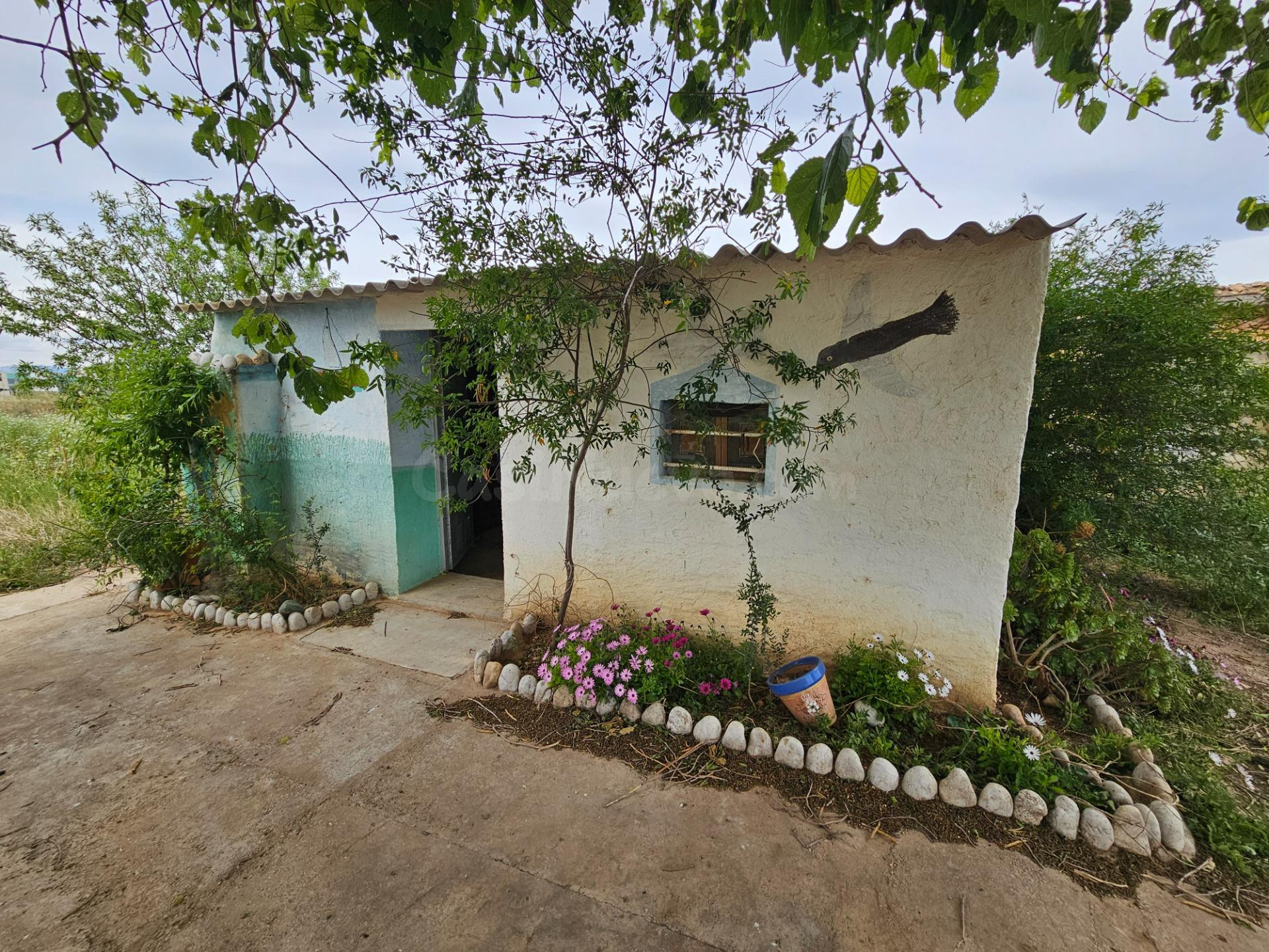 FINCA RÚSTICA CERCA DE AMPOSTA CON CASA PARA REFORMAR