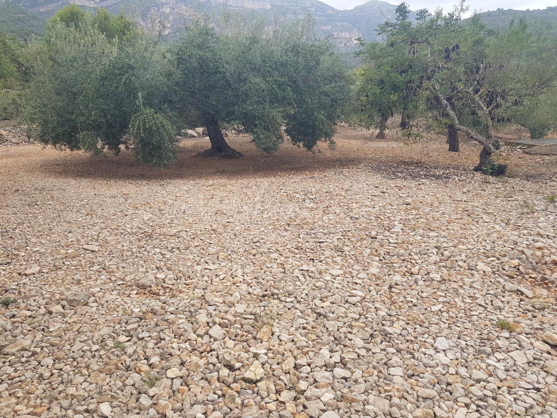 FINCA RÚSTICA DE 2,5 HECTÀREAS CON AGUA