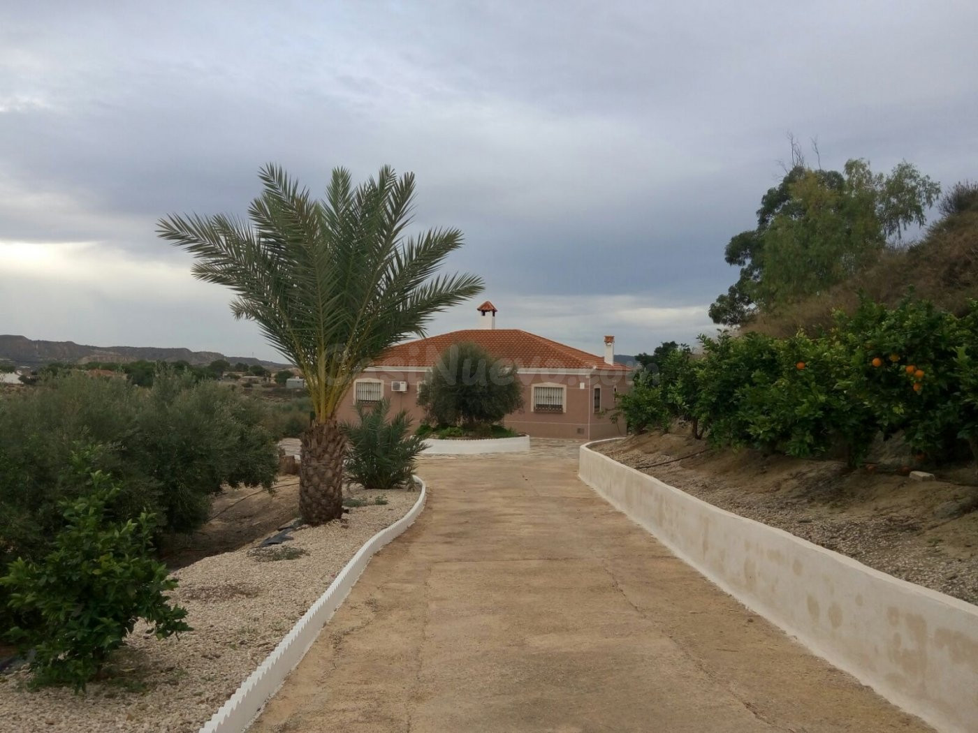 Chalet en parcela de 5.000 ms con olivos y pinos