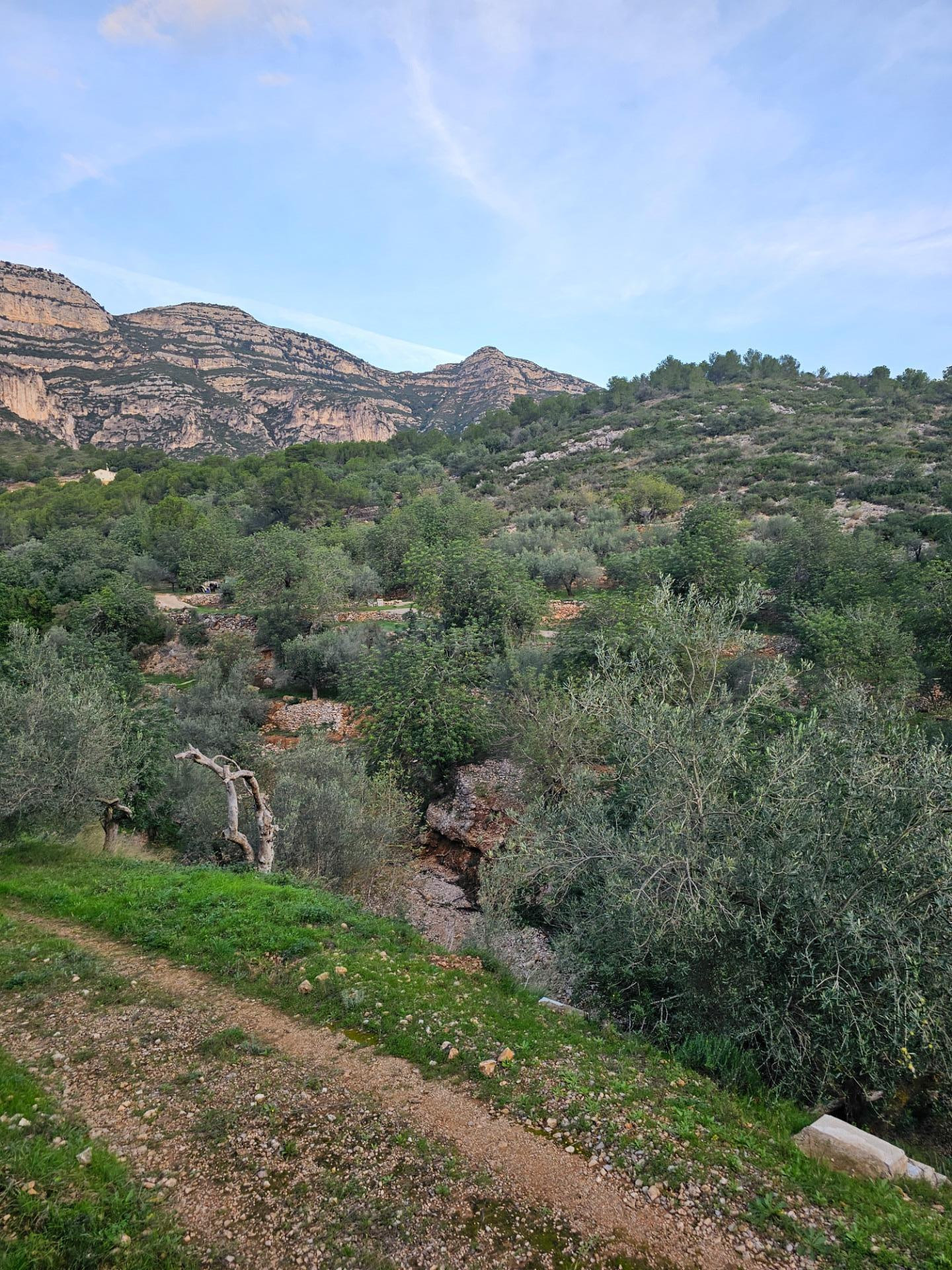 FINCA RÚSTICA EN ALCANAR