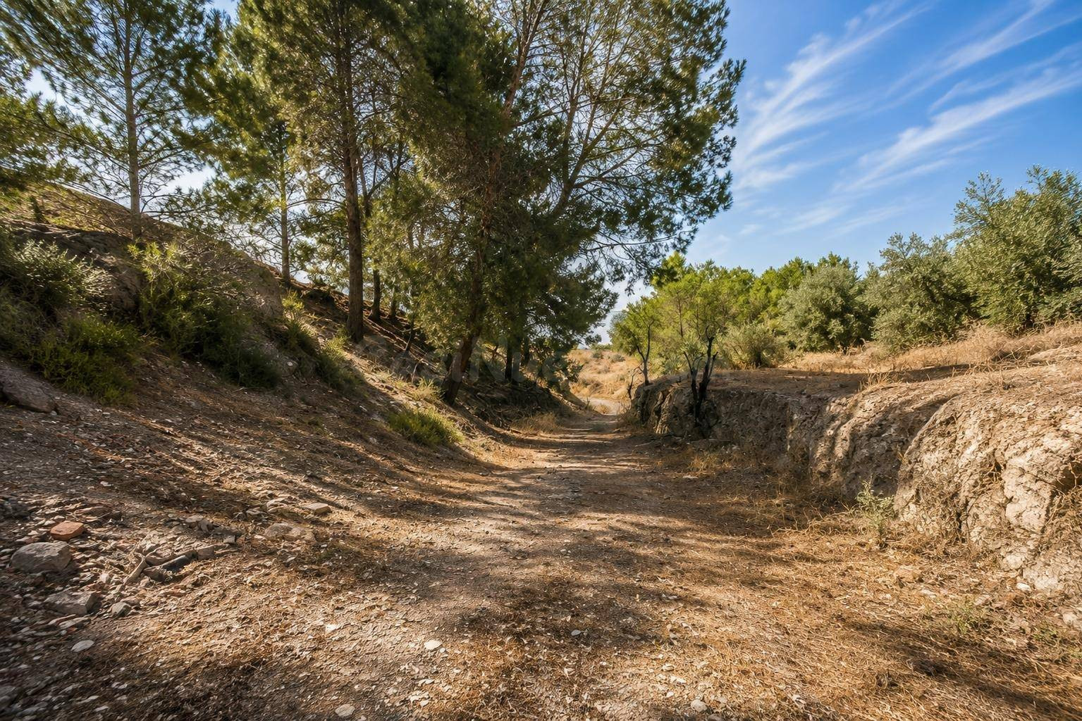 ¡¡Finca rústica en Atarfe en un entorno privilegiado!!
