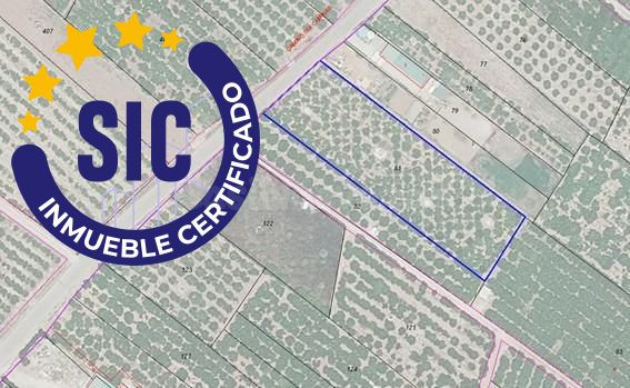 TERRENO RÚSTICO EN VENTA EN NULES