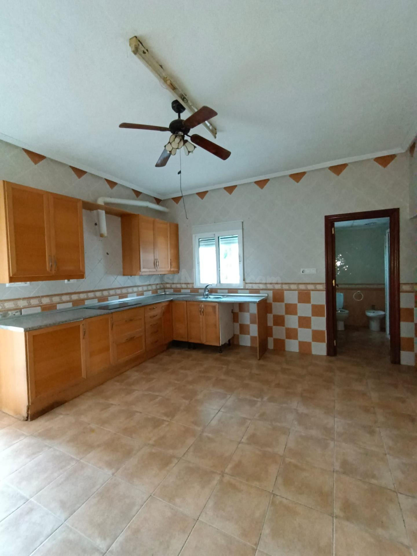 Gran casa de Huerta en EL paraje la Arboleja¡¡¡