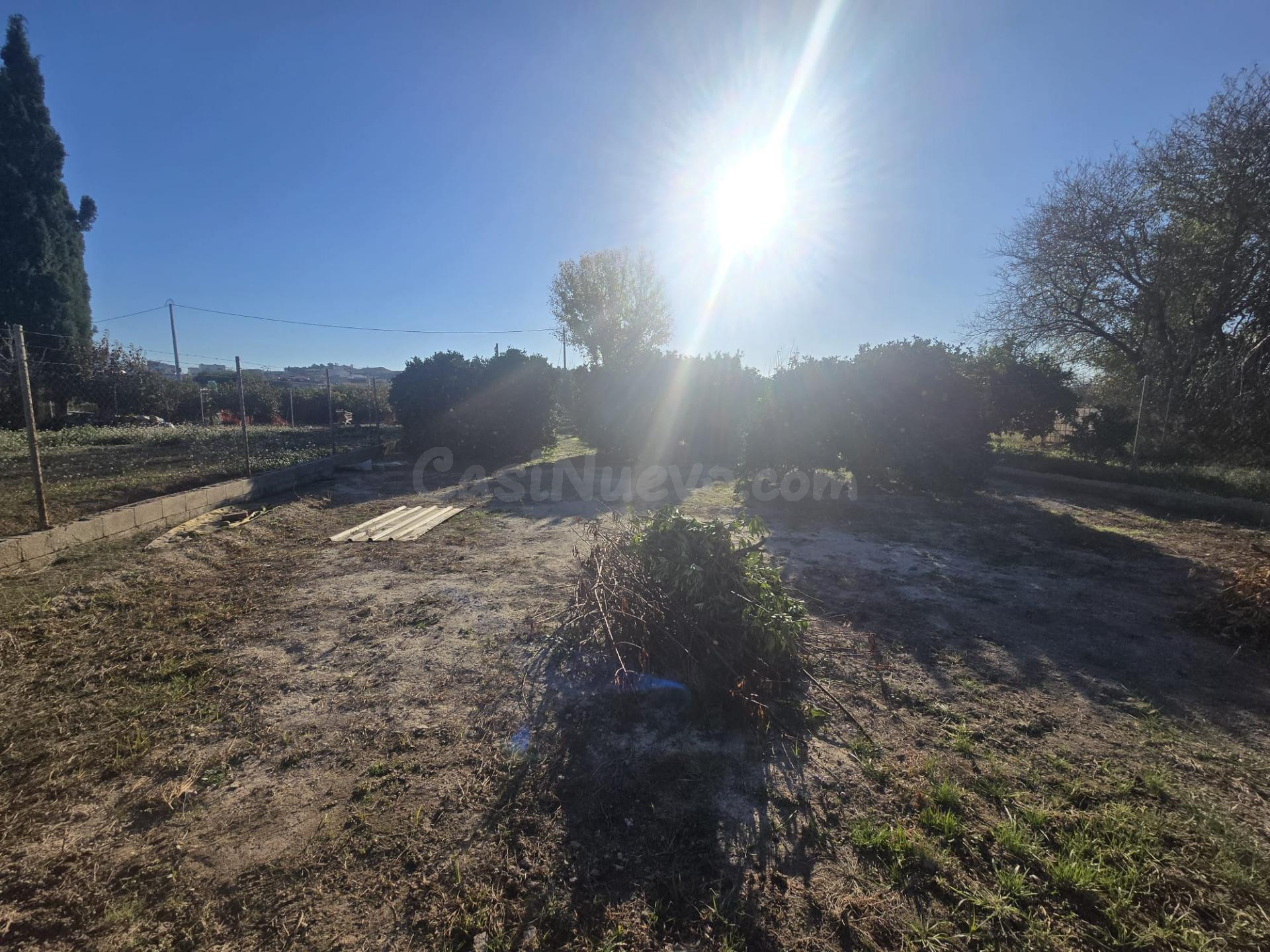 Parcela en Venta en Torrealta-Ribera de Molina - Oportunidad Única¡¡¡¡¡¡