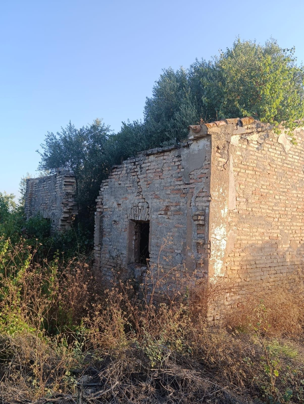 Terreno rural en venta - Almonte
