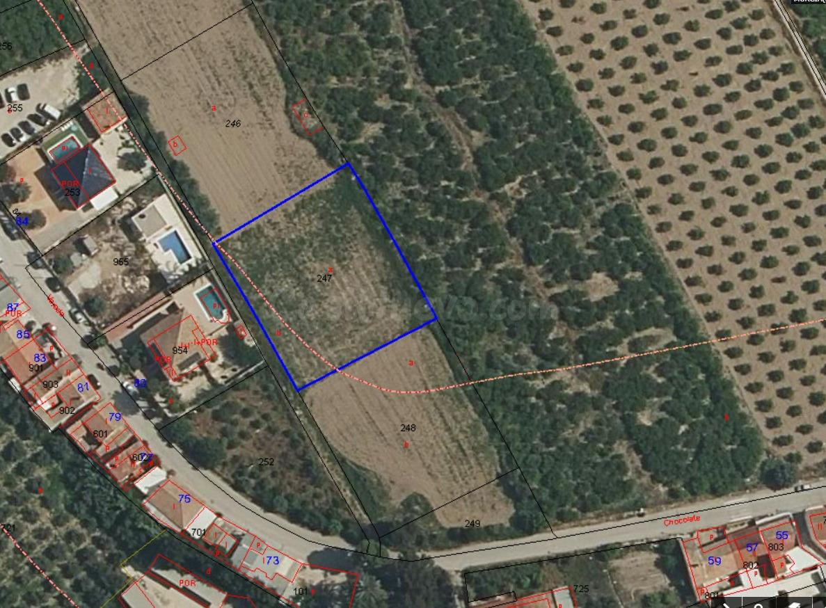 ¡Oportunidad en Los Ramos!