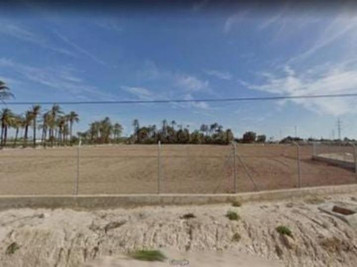 TERRENO DE 32.000 METROS  RÚSTICO URBANIZABLE EN LA ALCUDIA