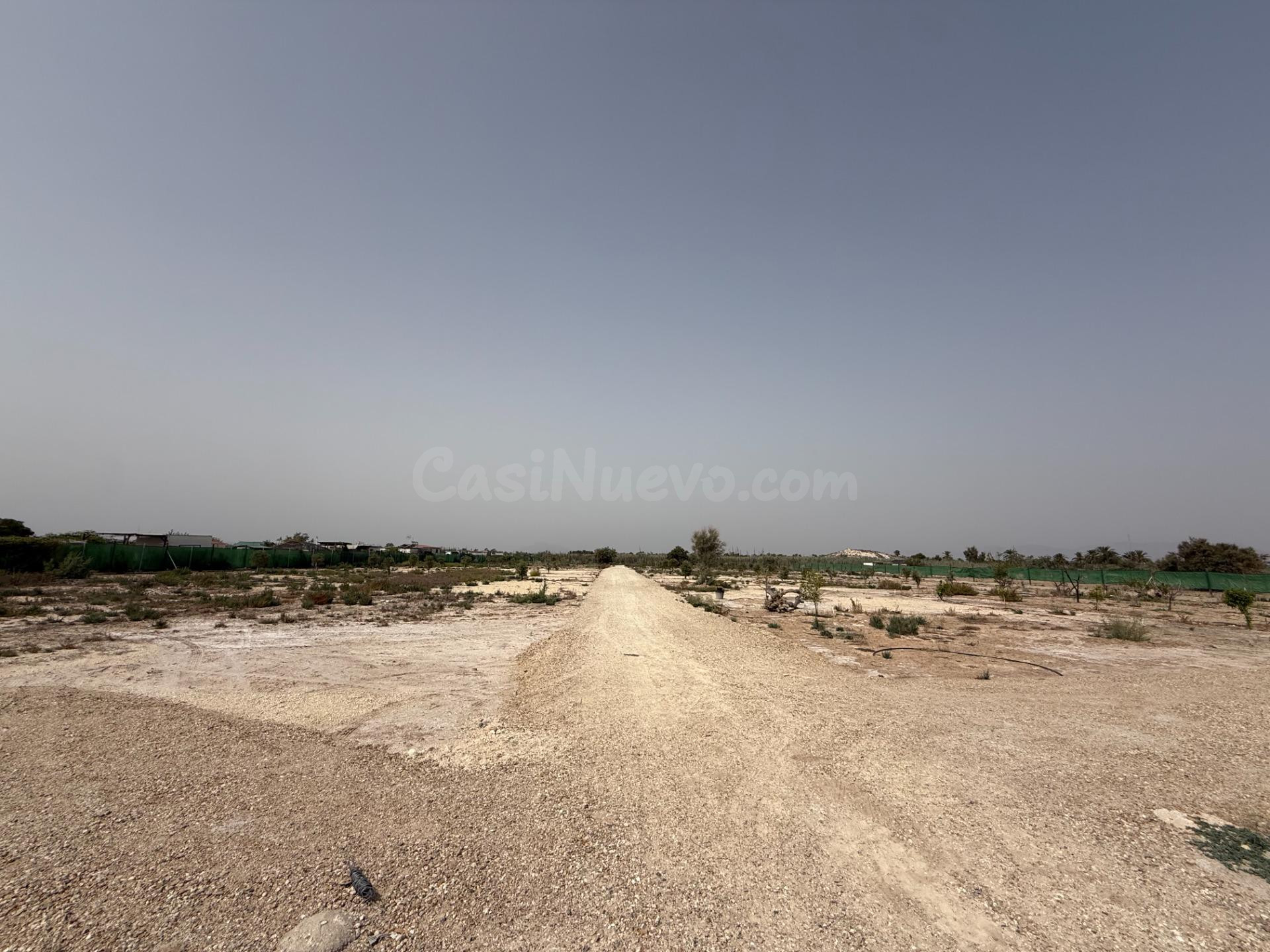 Terreno rústico en venta – La Hoya (Elche), con proyecto básico y de ejecución de nave agrícola de almacenaje.