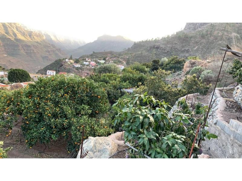 Terreno rústico con árboles frutales en Barranquillo Andrés