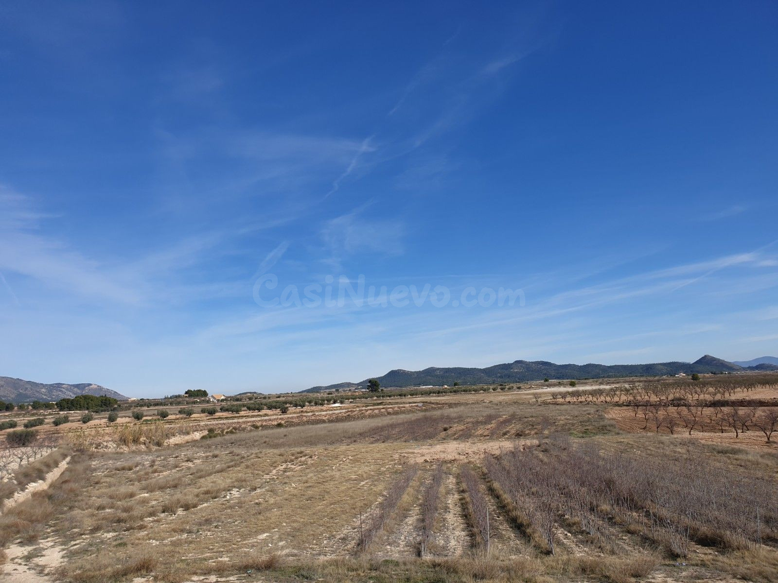 Parcela en venta - Comunidad valenciana