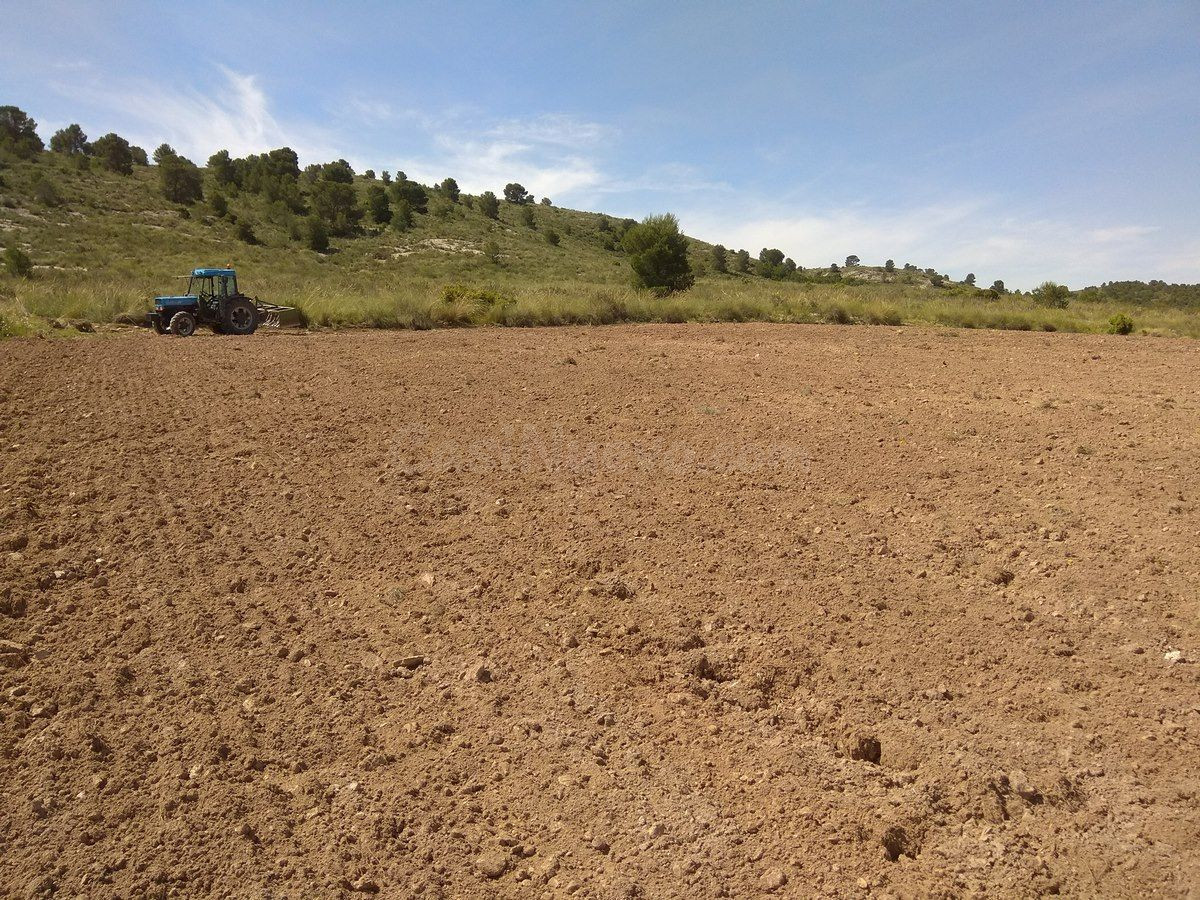 Parcela en venta - Ayuntamiento