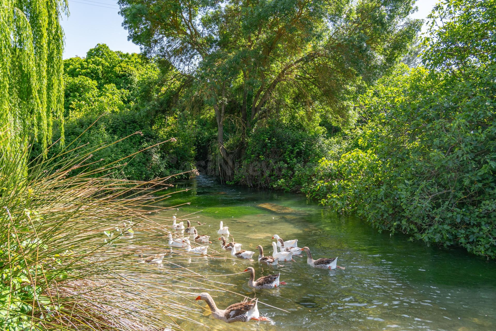 ¿Sueñas con vivir en plena naturaleza, rodeado de tranquilidad y belleza?