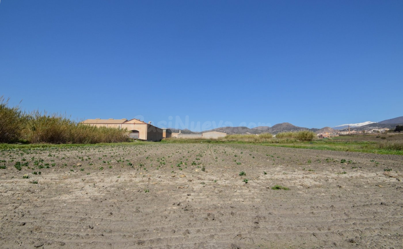 VENTA DE FINCA EN MOTRIL