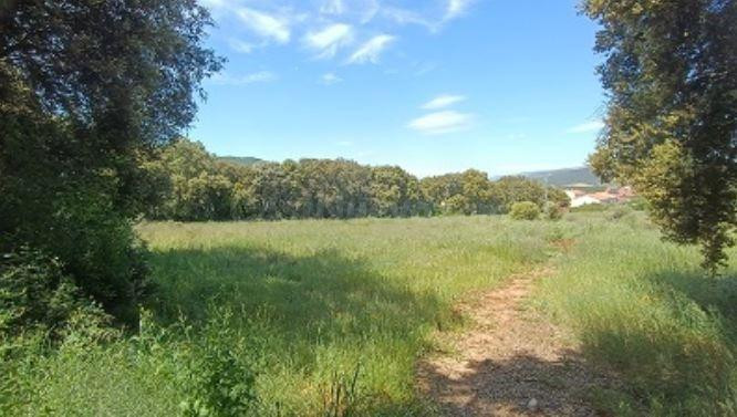 Terreno en venta en Iguzquiza (Navarra)